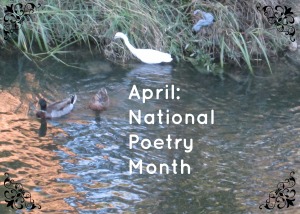 national poetry month birds