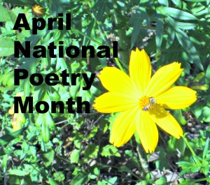 poetry month  yellow