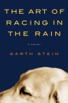art of racing in the rain